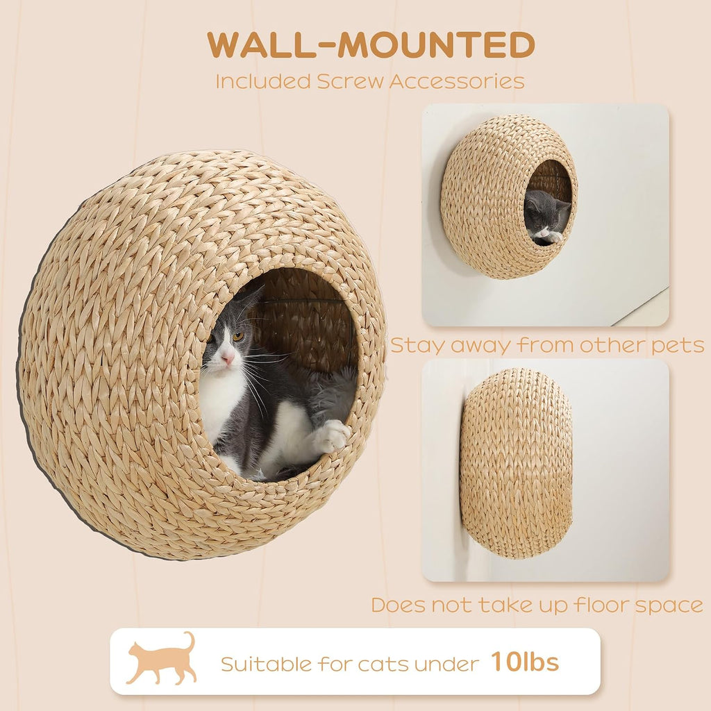 Cat Wall Furniture Cat Wall Shelf for Indoor Cats Natural Wood