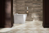 Smart One-Piece Elongated Toilet with Built-In Bidet, Dual Flush, Quiet-Close Lid