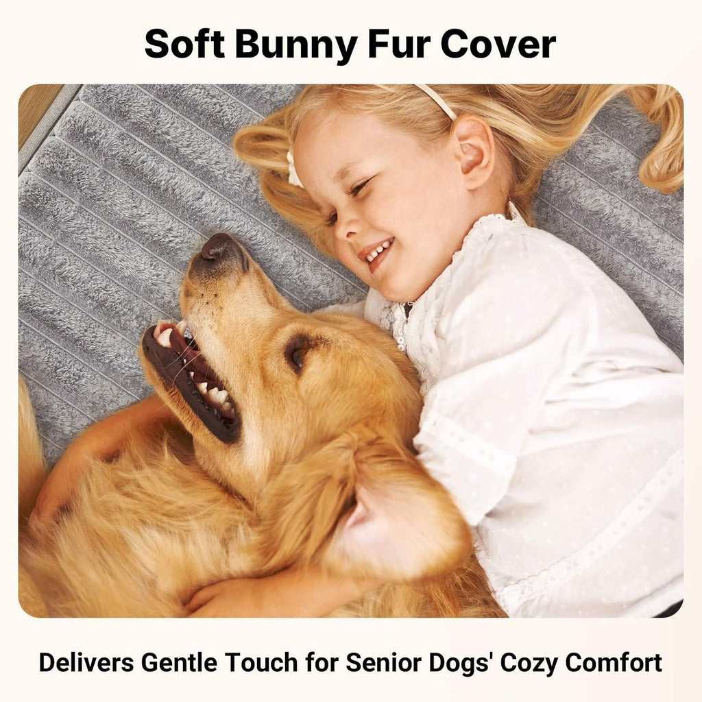 Orthopedic Dog Bed for Senior Dog, 7" XL Memory Foam Bed with Sides