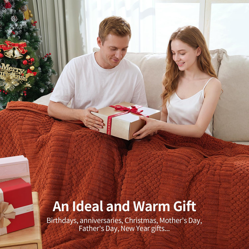 Weighted Blankets for Adults Queen Size, 20lbs 60x80 inches