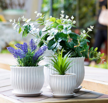 Ceramic Flower Plant Pots with Saucers, Modern Round Ceramic Succulent Planter Pots with White Stripe Texture, Small