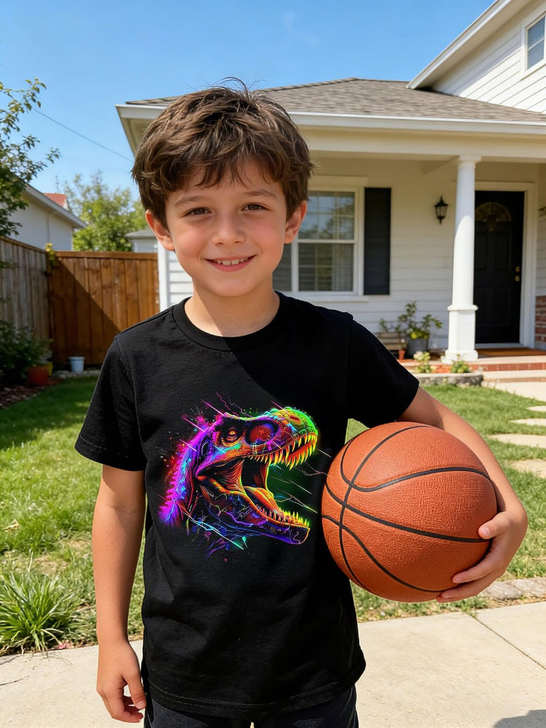 Boys 2 Pack Graphic T-Shirts, Stretch Short Sleeve Tees