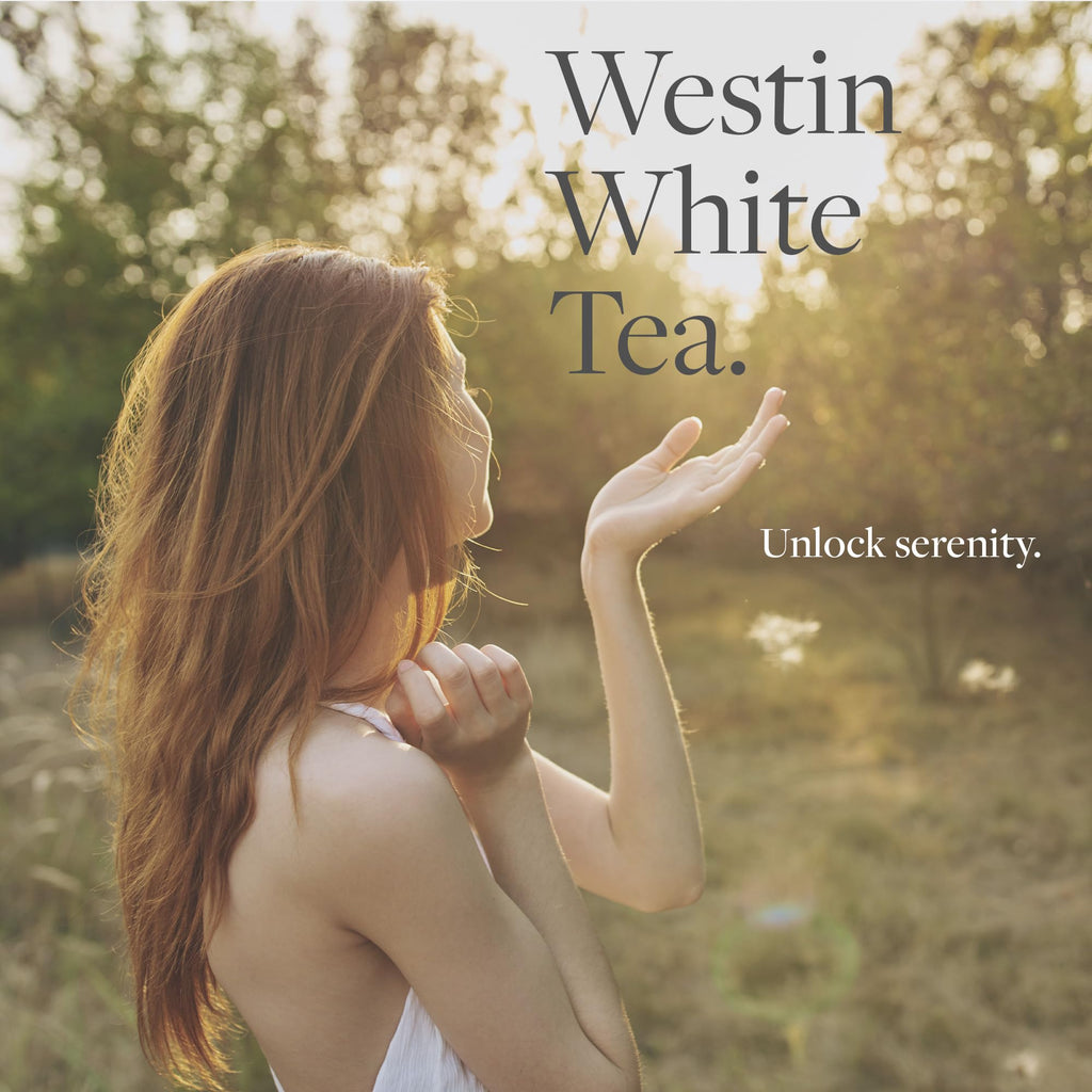 White Tea Home Diffuser Refill Cartridge - Authentic Hotel Fragrance - Signature White Tea Scent