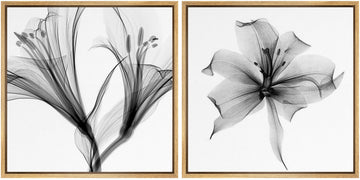 Framed Wall Art Print Set Detailed X-Ray Lily Flower Closeup Floral Plants Photography Minimalism Glam Relax/Calm