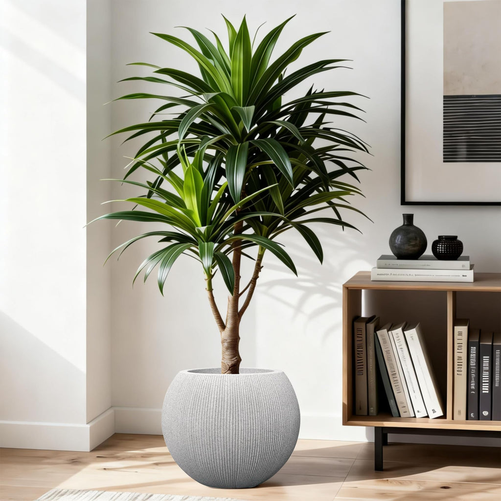 11.8" H x 14.5" Dia Large Round Plastic Planter Pot with Drainage & Plug