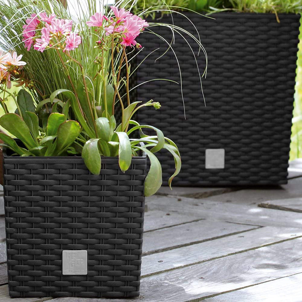 Black (Anthracite) Plastic Planter, 17cm (LWH)