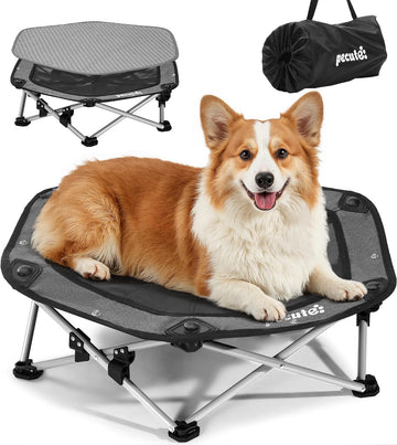 Raised Dog Bed with Cooling Mat, Elevated Pet Cot for Medium Dogs, L