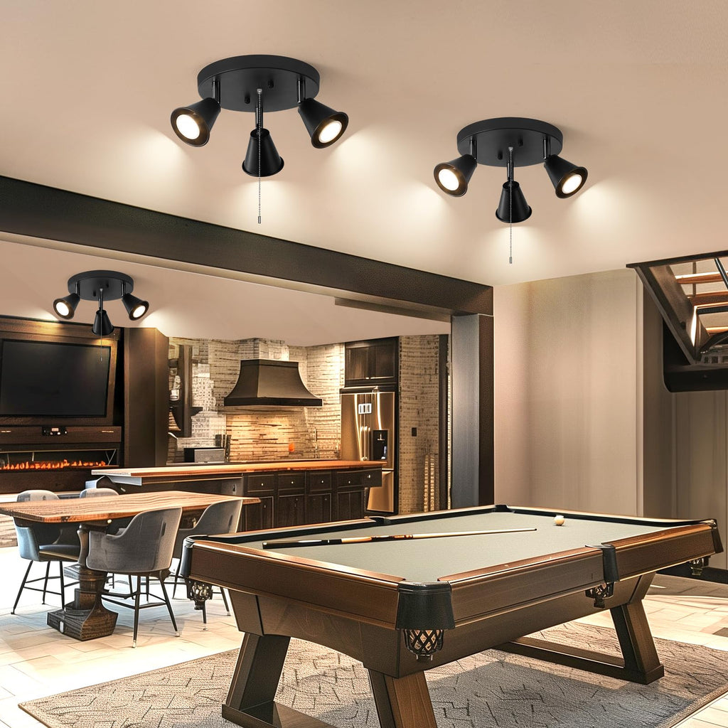 Industrial Directional Track Lighting with Pull Chain On/Off, Black Ceiling Spotlight, Morden Flush Mount