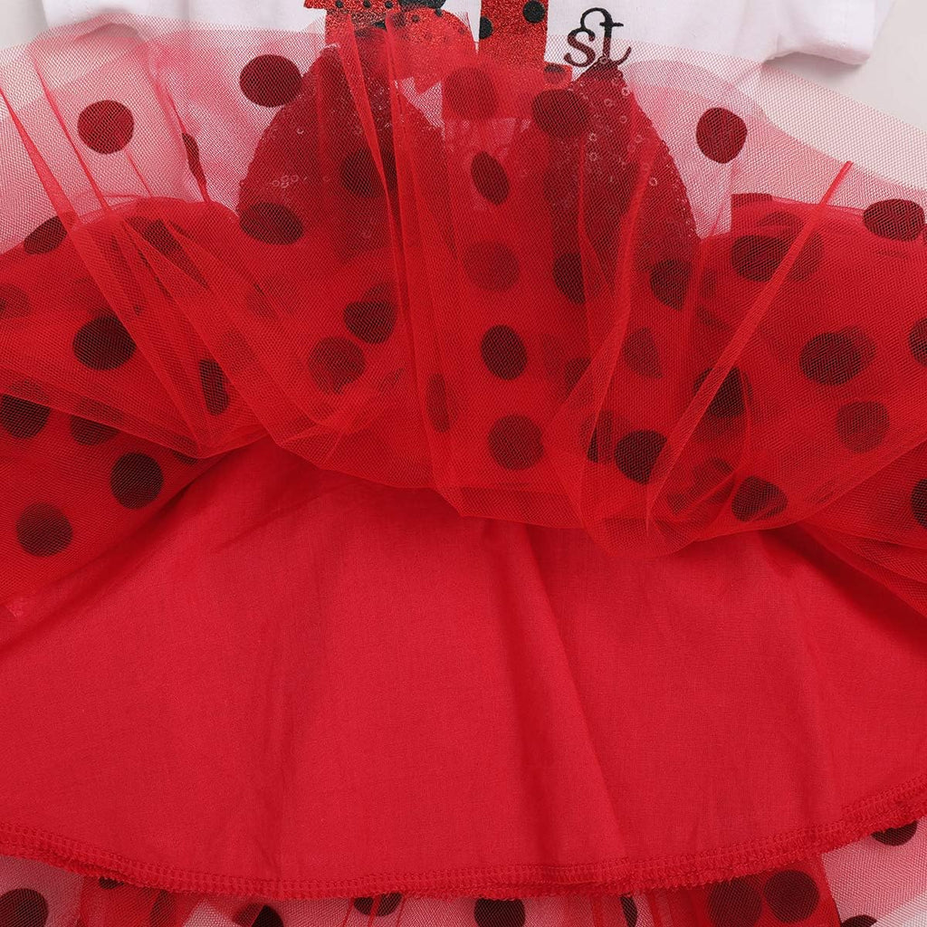 Baby Girls 1st 2nd Birthday Outfit Tutu Princess Dress for Cake Smash