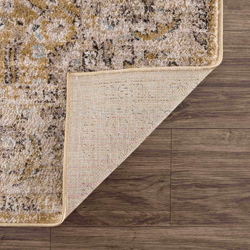 Wagner Living Room, Bedroom Area Rug - Floral Traditional Border Medallion Distressed - Traditional Oriental