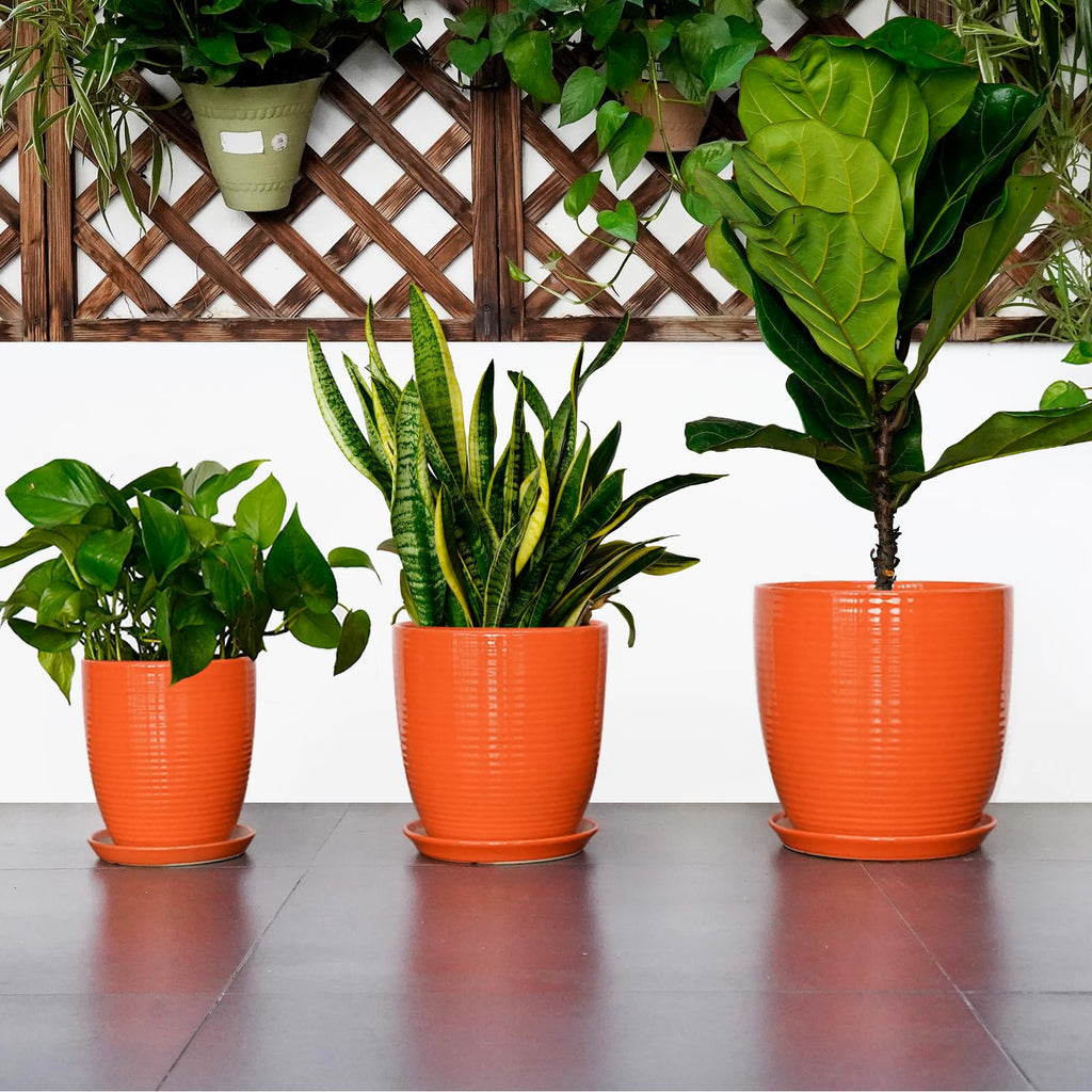 12 Inch Plant Pot, Ceramic Planters for Plants with Drainage and Saucer, Orange