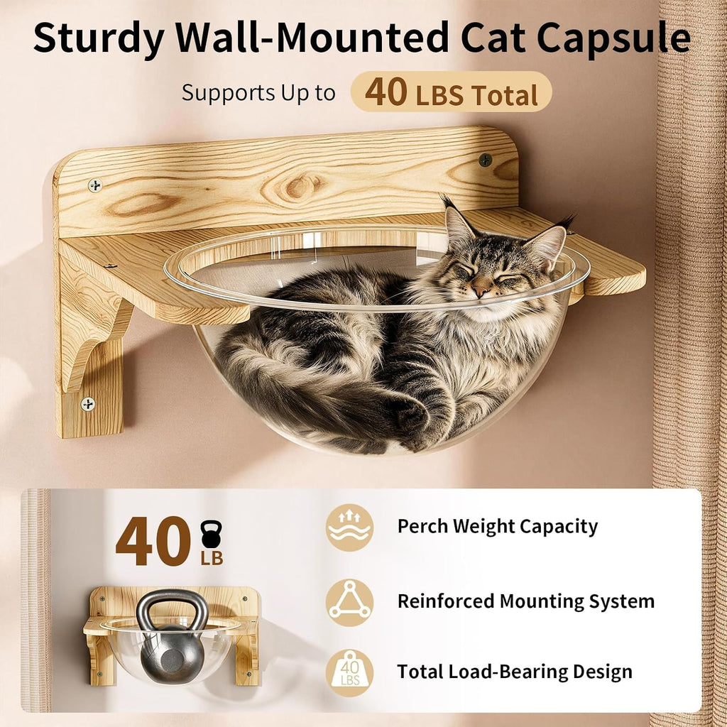 Cat Wall Shelves, Wood Cat Wall Furniture Set for Indoor Cats, Space Saving Wall Mounted Design, Cozy Hammock