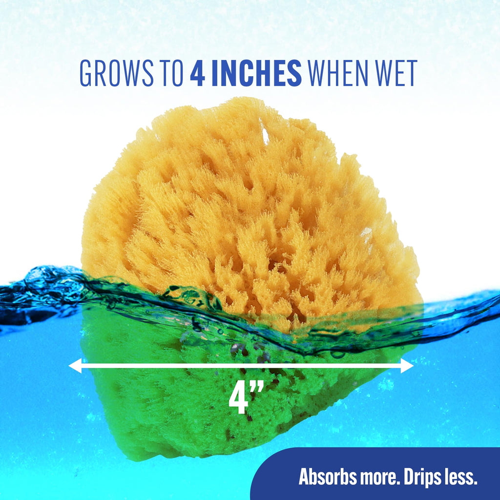 Buddy Natural Baby Bath Sponge 4in Soft Grass Sea Sponge Soft on Baby's Tender Skin, Biodegradable, Hypoallergenic