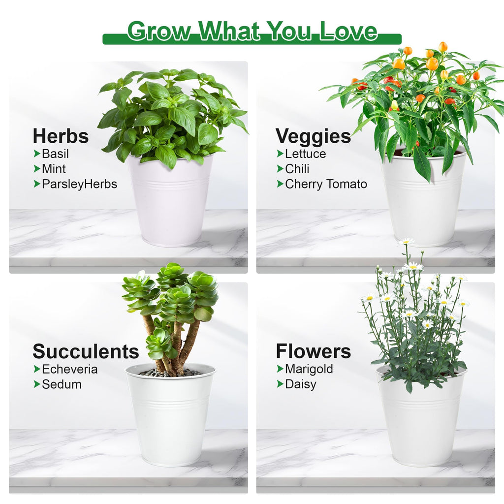 Herb Garden Planter Indoor Kit - 6 Metal Pots with 2 Trays for Windowsill & Kitchen Counter - Modern Decorative