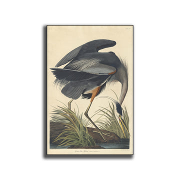John James Audubon Canvas Wall Art - Great Blue Heron Print - Chinoiserie Wall Art - Bird Lover Poster - Bedroom