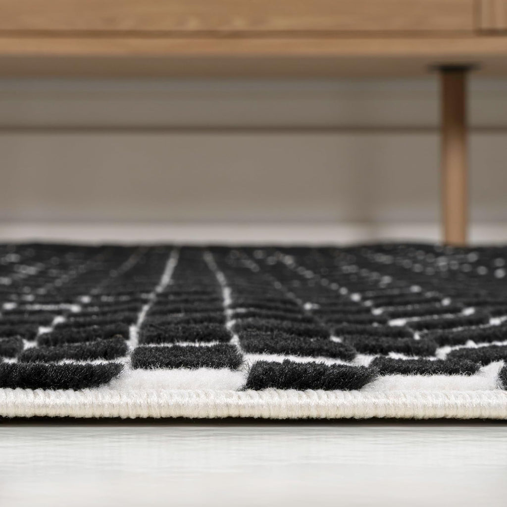 Finn High-Low Checkered Monotone Black/White Indoor Area Rug, Modern Minimalist, Non-Shedding, Stain Resistant