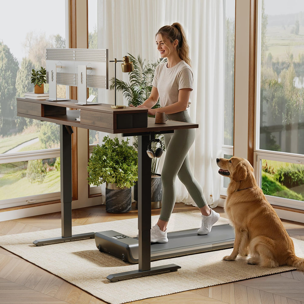 Electric Standing Desk with Drawers & Shelf, 48*24", Dark Walnut