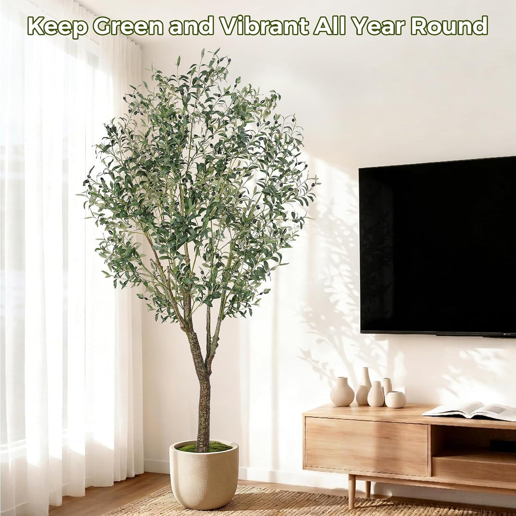Olive Tree Indoor 7FT, Tall Faux Olive Tree with White Planter