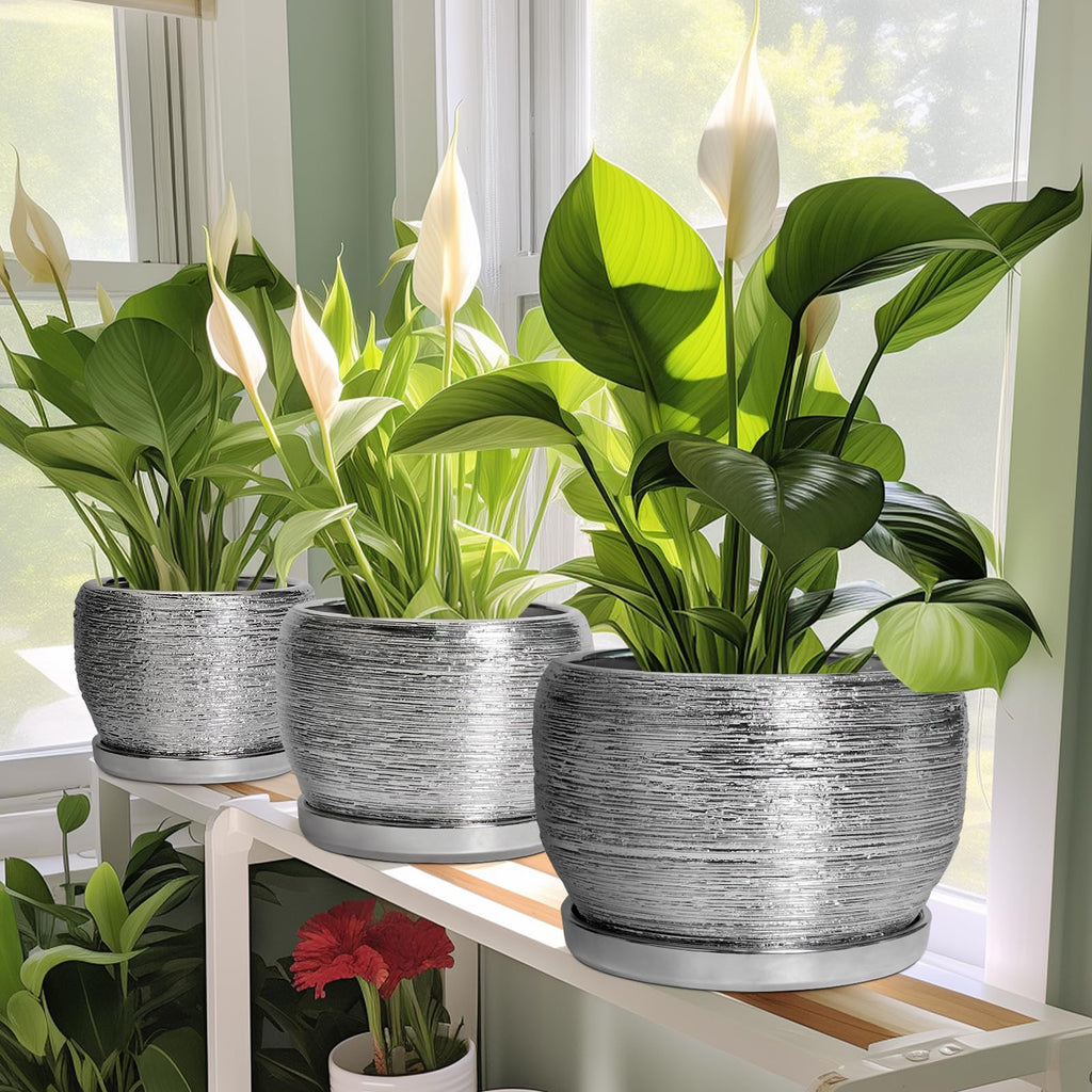 Ceramic Pot for Plants - 10 Inch Planter Indoor, Round Large Planter Outdoor with Drainage Hole and Plant Saucer