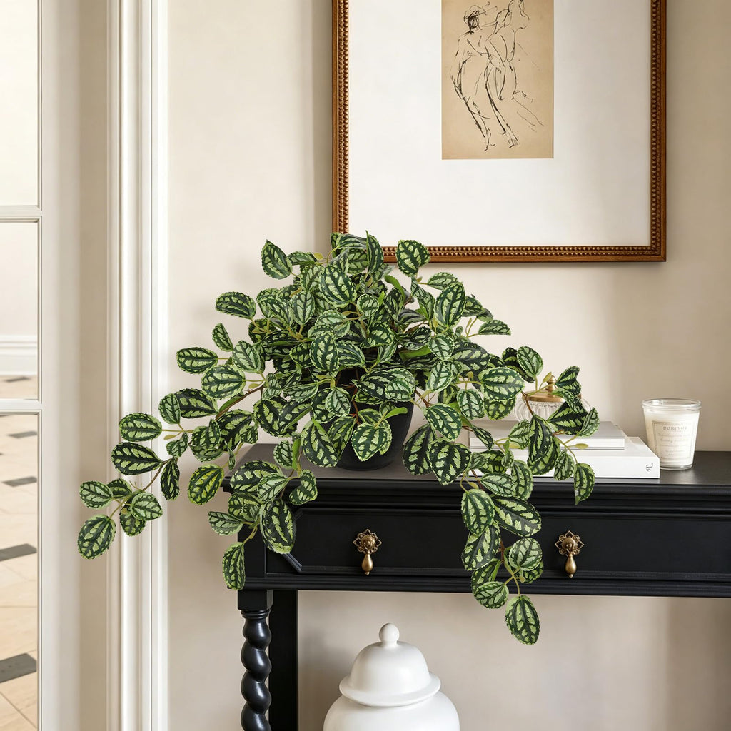 Artificial Potted Plant Indoor, 19.6" Faux Watermelon Peperomia Trailing Plant in Black Pot, Realistic Fake Plants