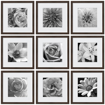 Picture Frames Set of 9, 12x12 in, Acrylic Cover, Walnut Brown