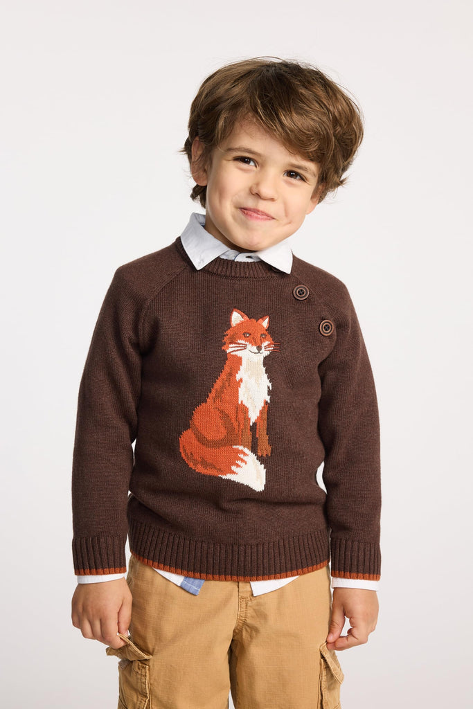 Boys,and Toddler Long Sleeve Crew Neck Sweater,Fox,10