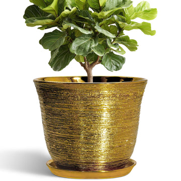 Ceramic Pots for Plants - 12 Inch Planter for Indoor Outdoor, Round Plant Pot with Drainage Hole and Saucer