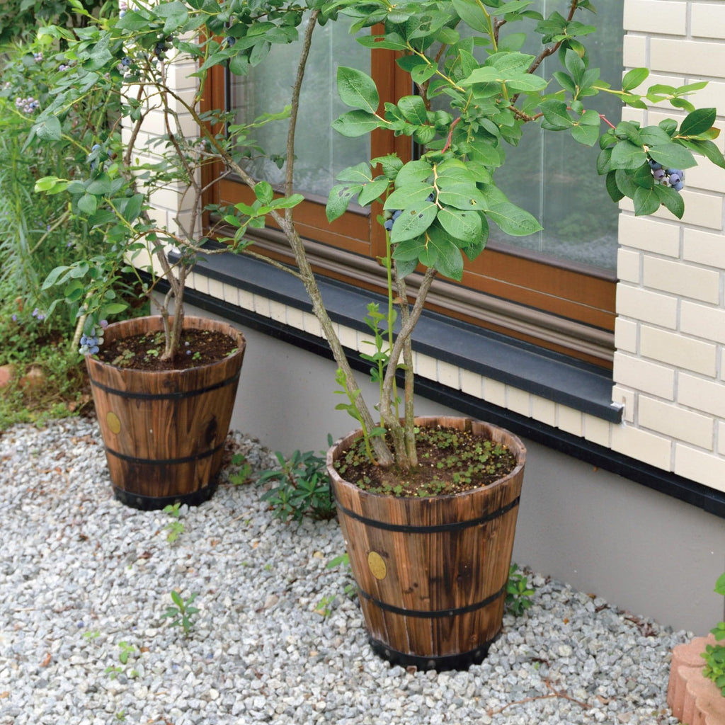 Wood Barrel Planter, Deep Type, L, Depth 16.1 x Height 15.7 x Width 16.1 inches (41 x 40 x 41 cm)