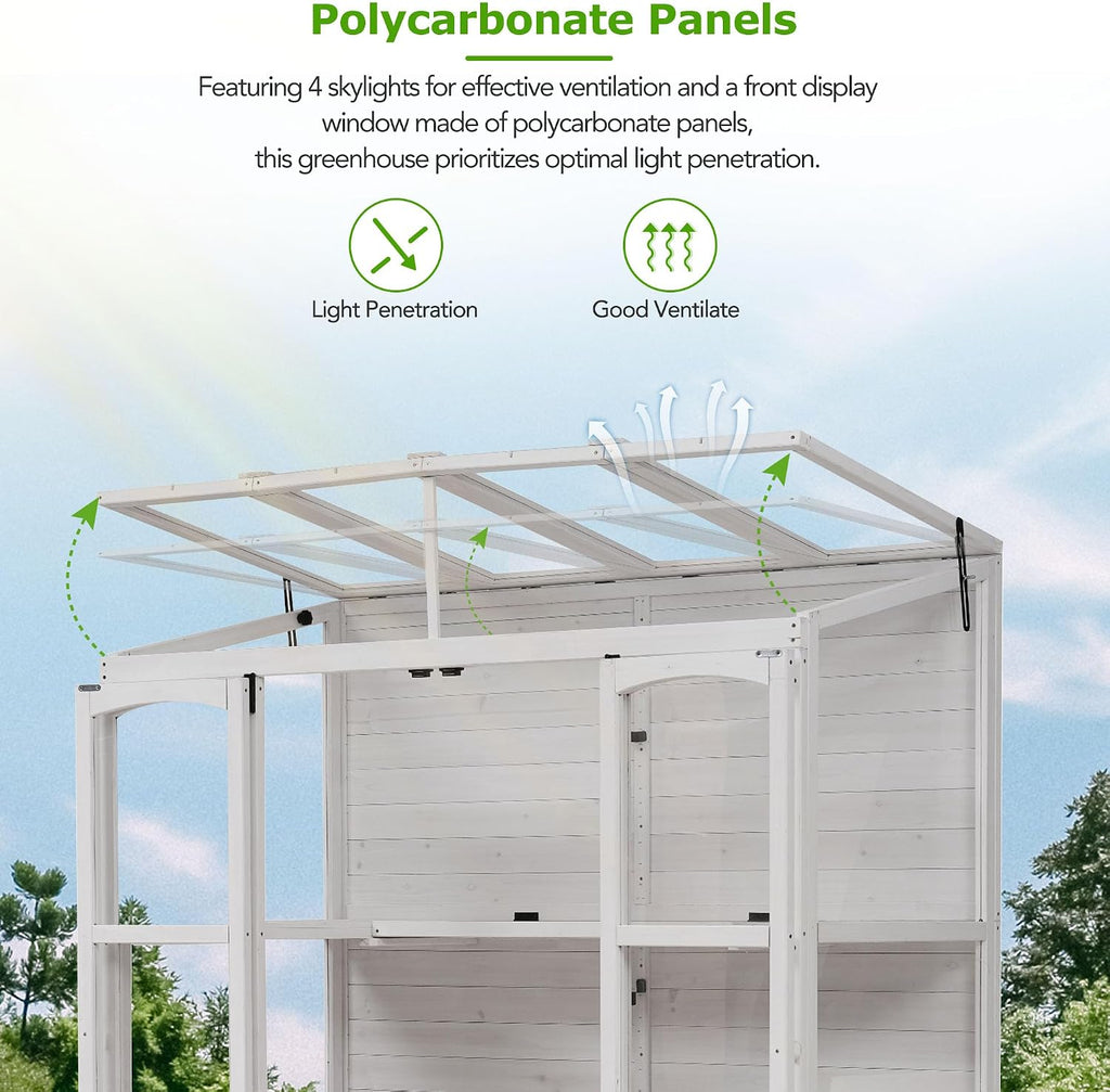 78-inch Wooden Greenhouse Cold Frame with 4 Independent Skylights and 2 Folding Middle Shelves, Walk-in Outdoor