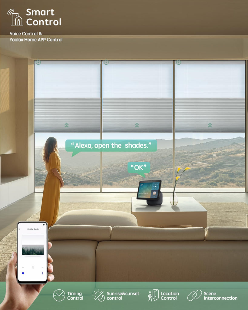 Motorized Day & Night Cellular Shade, Blackout White & Soft White