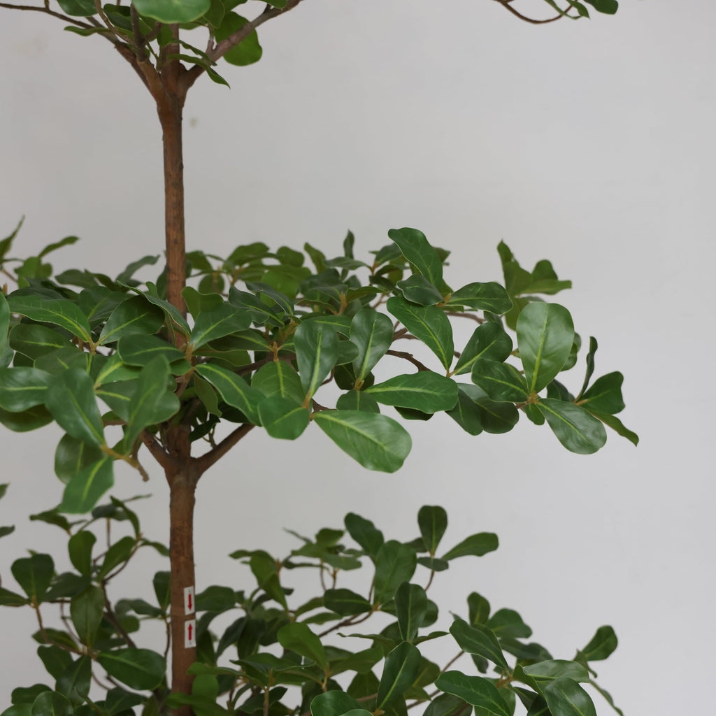Artificial Black Olive Tree, 6FT Tall Big Faux Shady Lady Tree with Potted, Fake Olive Tree Decor Indoor