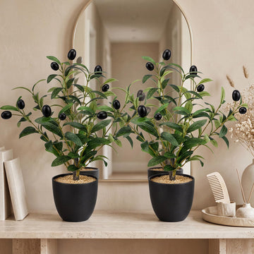 2 Pack 15.8 Inch Small Artificial Olive Tree Indoor, Plastic, Black
