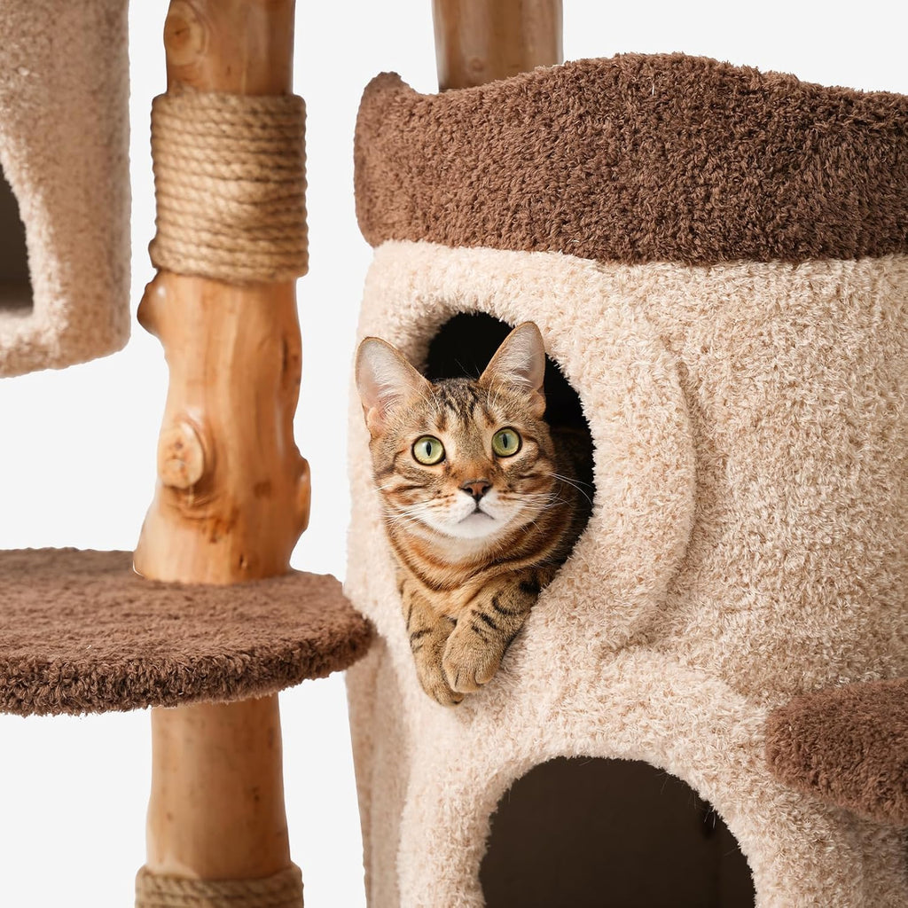 Modern Cat Tree for Indoor Large Cats & Multi-Cat Households, 68'' Solid Wood Cat Tower with 3 Condos, Heavy Duty Cat