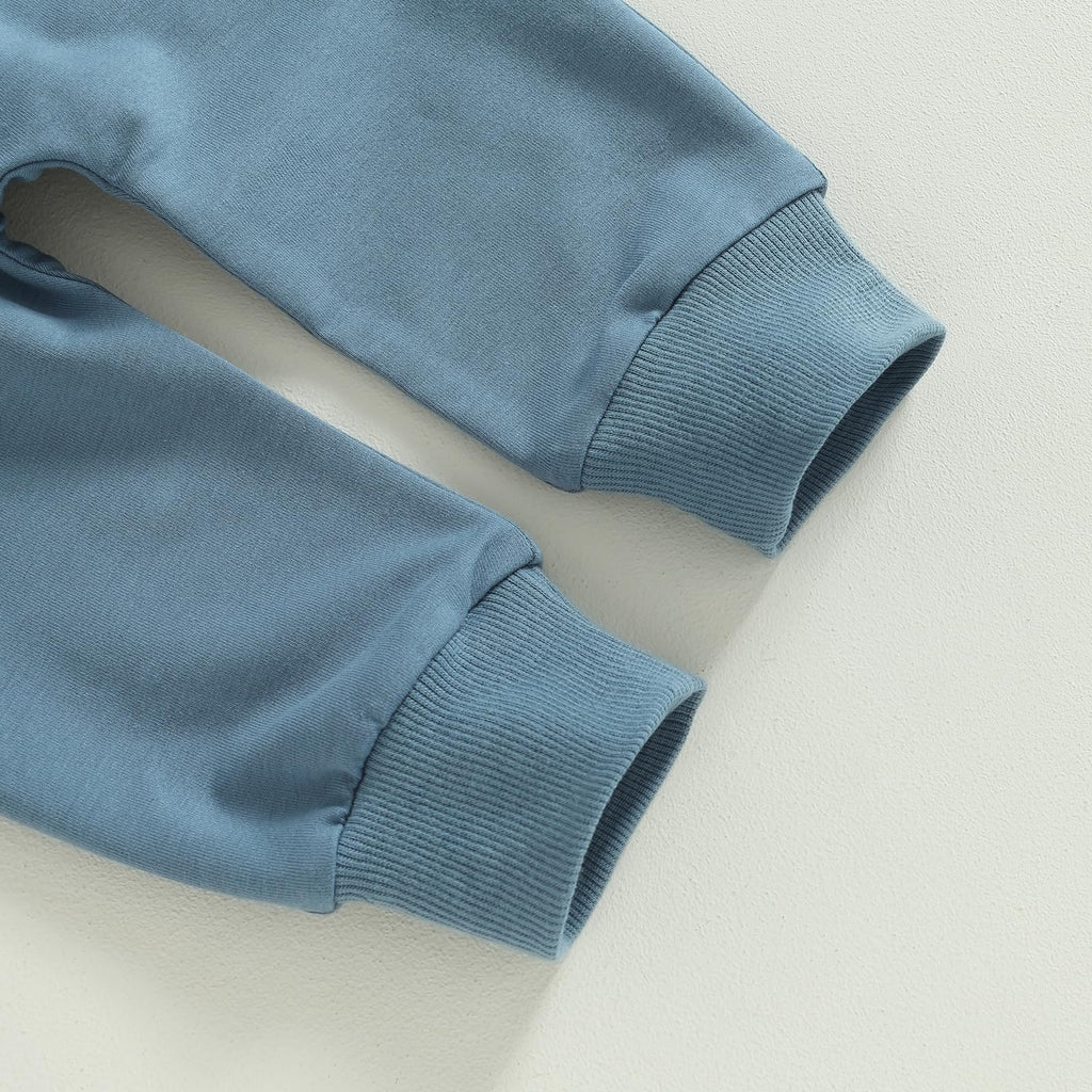 Toddler Baby Boy Outfit Long Sleeve Color Block Hoodie and Pants Fall Winter Clothes Blue