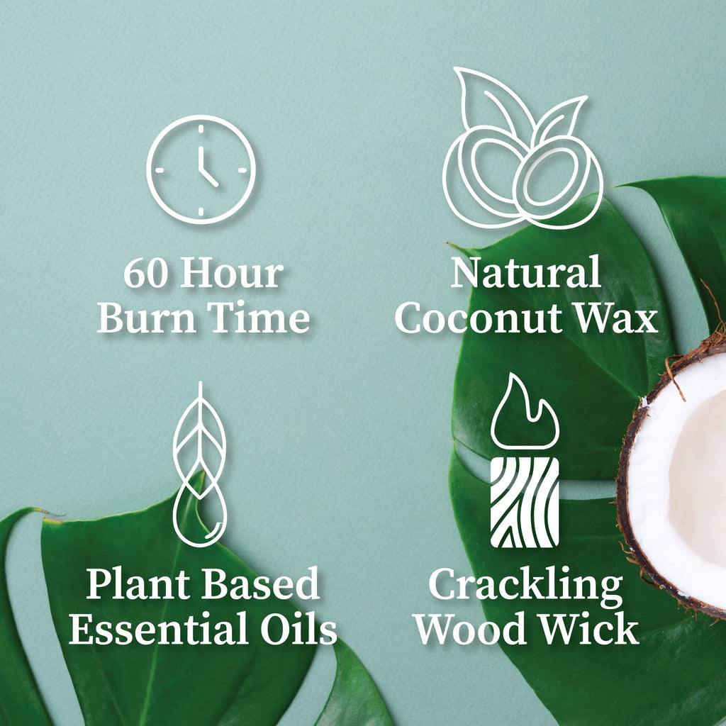 Pumpkin Crème Apothecary Crackling Wood Wick Candle | 8 oz