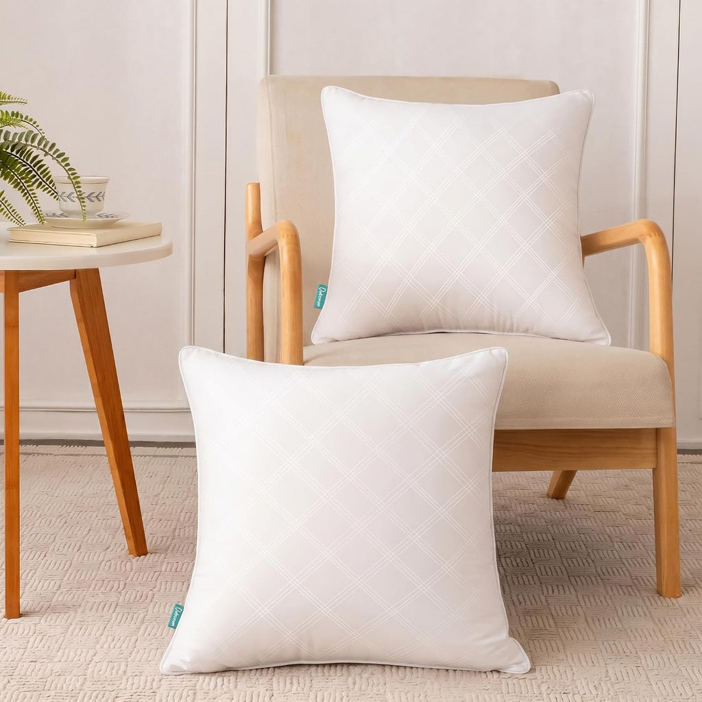 18x18 Throw Pillow Inserts, Soft Decorative Couch Cushion - Set of 2