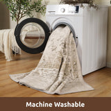 3X5 Area Rug-Soft Washable Vintage Throw Accent Rugs for Living Room, Entryway, Bedroom, Kitchen, Ba