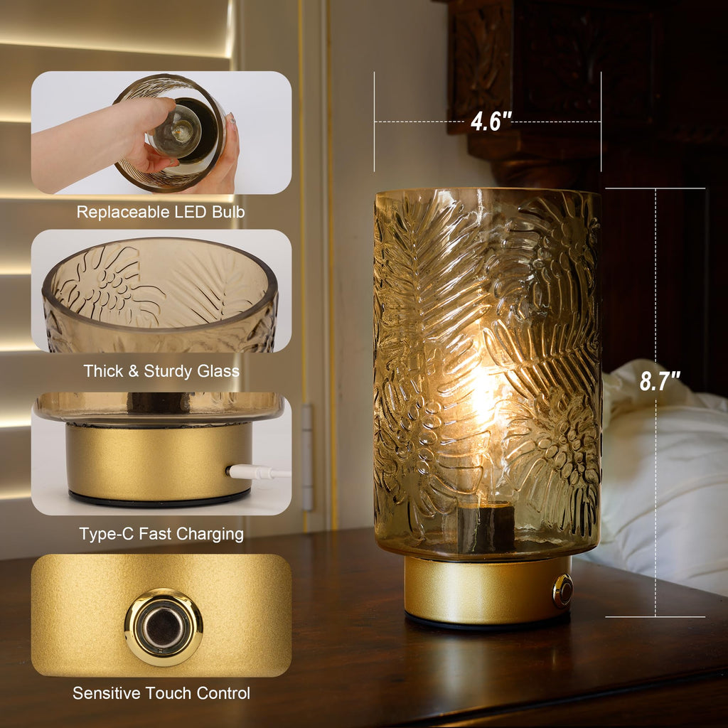 Cordless Lamps Rechargeable Battery Operated lamp,Glass Table Lamp Remote Control-Dimmable Brightness Touch Wireless
