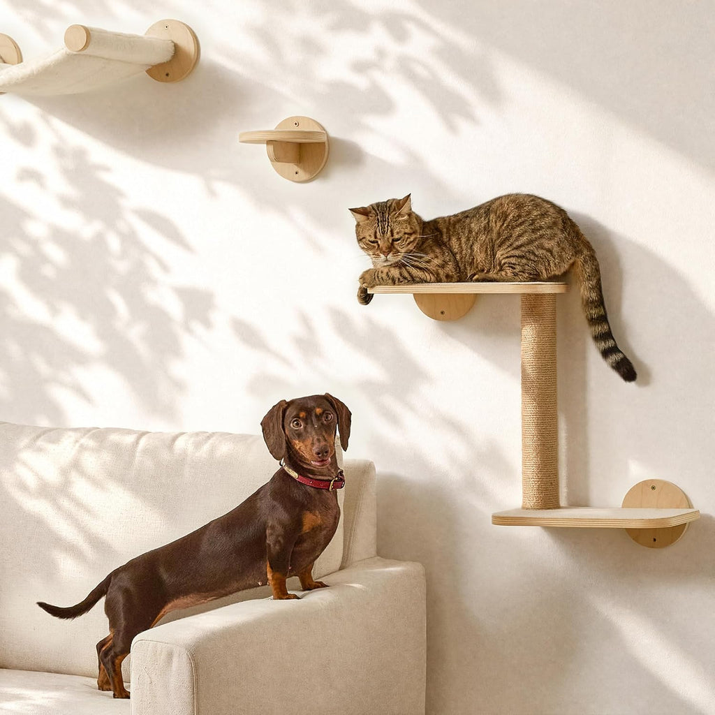 Cat Wall Shelves, 5 in 1 Set, Beige