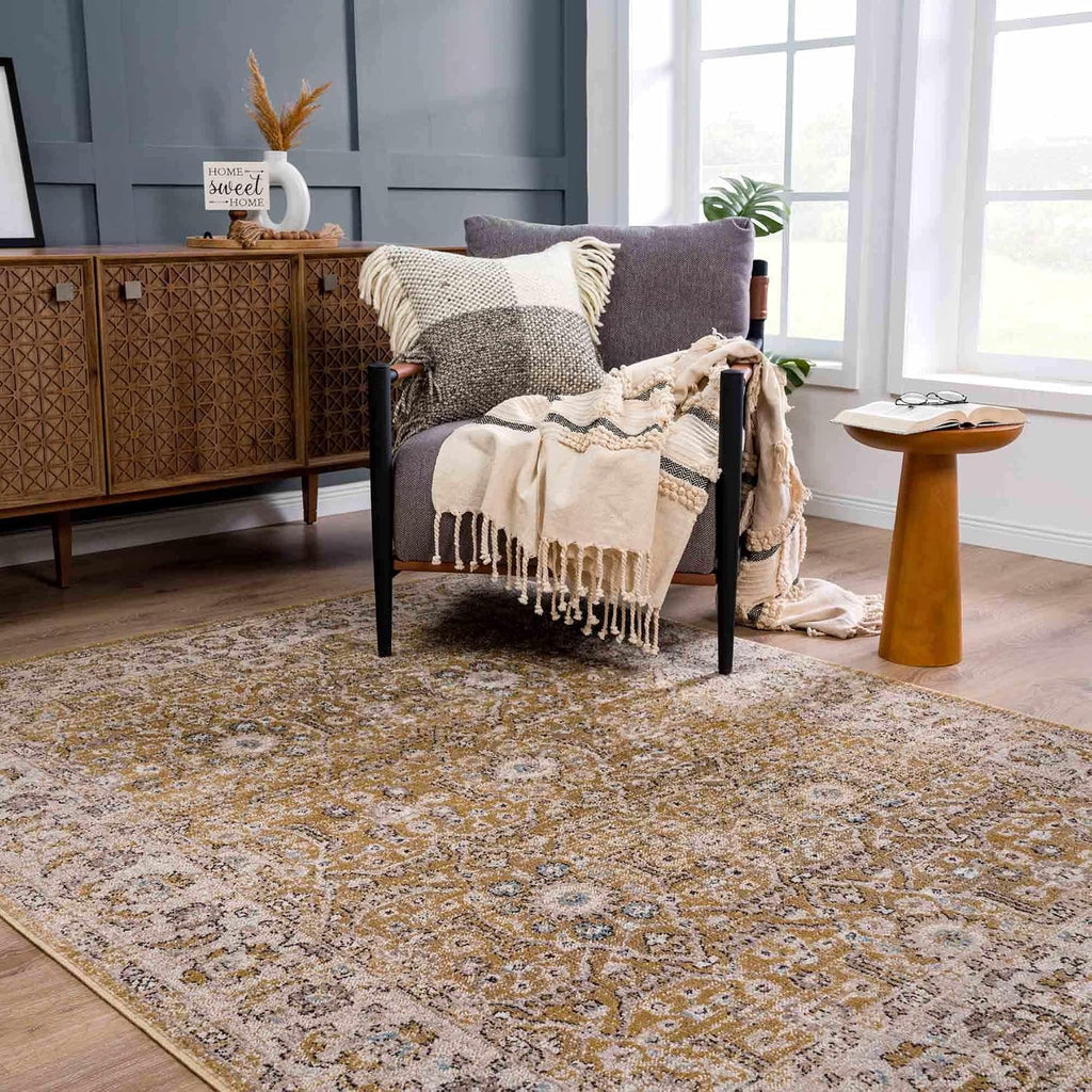 Wagner Living Room, Bedroom Area Rug - Floral Traditional Border Medallion Distressed - Traditional Oriental