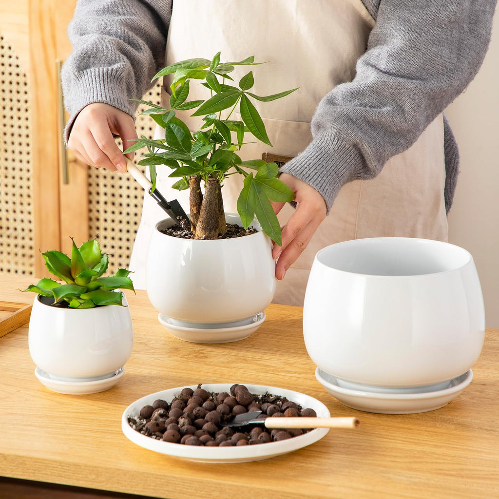 3-Pack Ceramic Plant Pots, 3.7/4.8/6.2 Inch Indoor Planters with Saucers & Drainage Hole Planter pots for Indoor