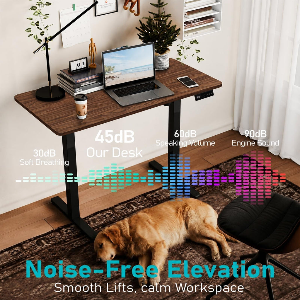 Electric Standing Desk, 40" x 24" Small Sit Stand Desk, Dark Walnut