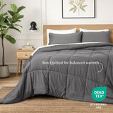 Ivy Union Queen Comforter Set - Comfy, Breathable, All Season - Down Alternative Comforter & Shams