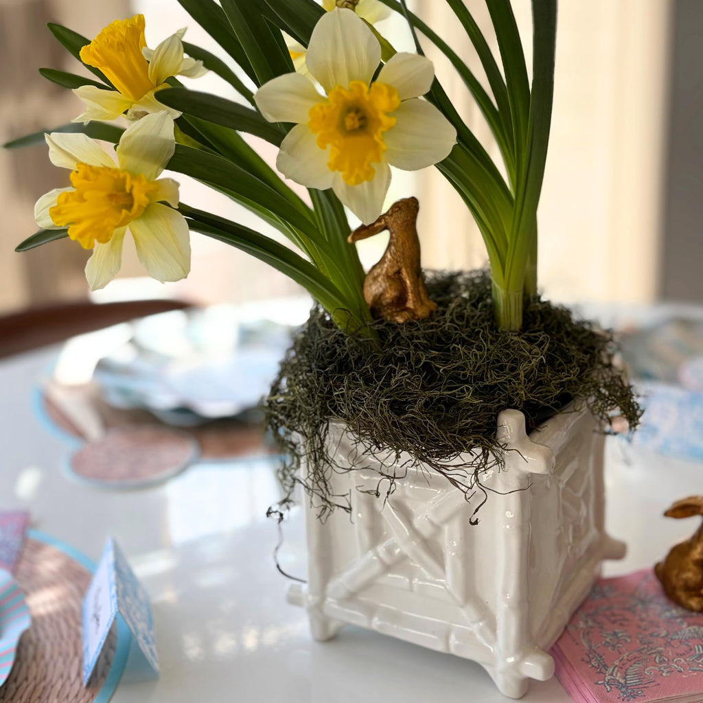 Square Ceramic Planter, Resort White Bamboo