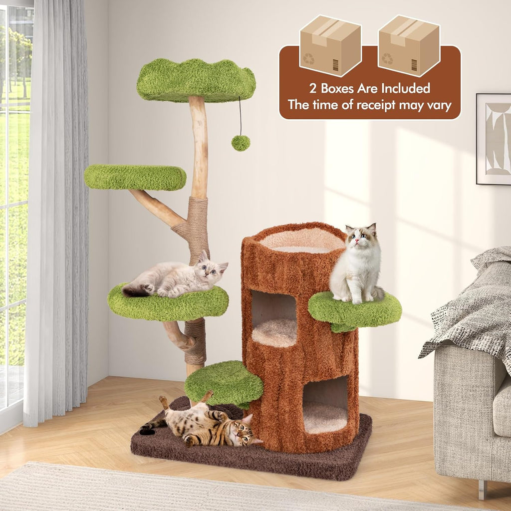 Solid Wood Cat Tree, Cute Cat Tower with Scratching Posts, 2-Tier Tree Hole Cat Condo, Wood Branches, Sisal Panel
