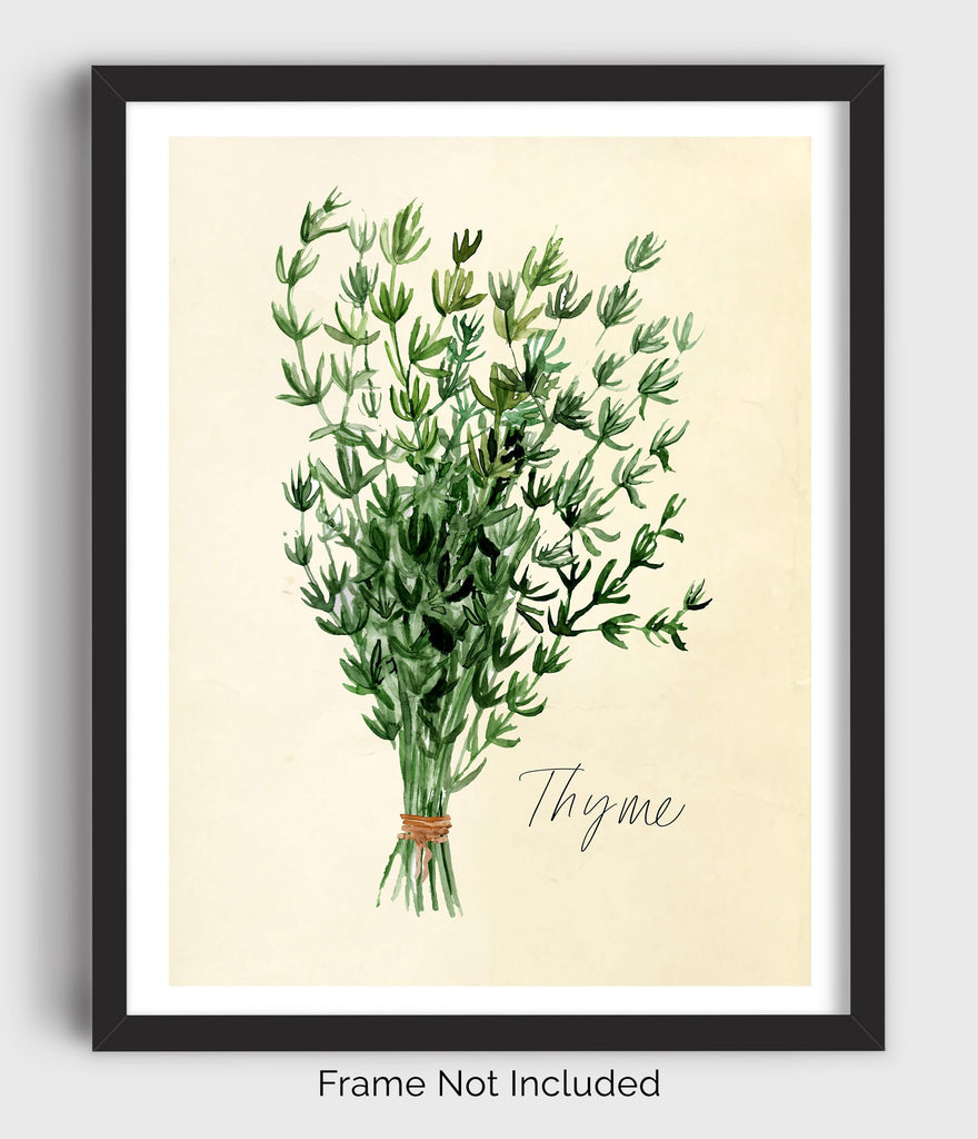 Kitchen Herbs Wall Art Prints - Set of 6-8x10 UNFRAMED Botanical Watercolor Illustrations of Basil, Parsley, Chives