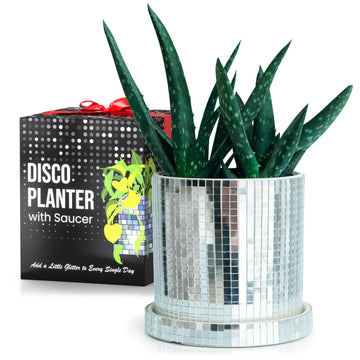 Disco Ball Planter Pot, 4.3-inch Silver Ceramic