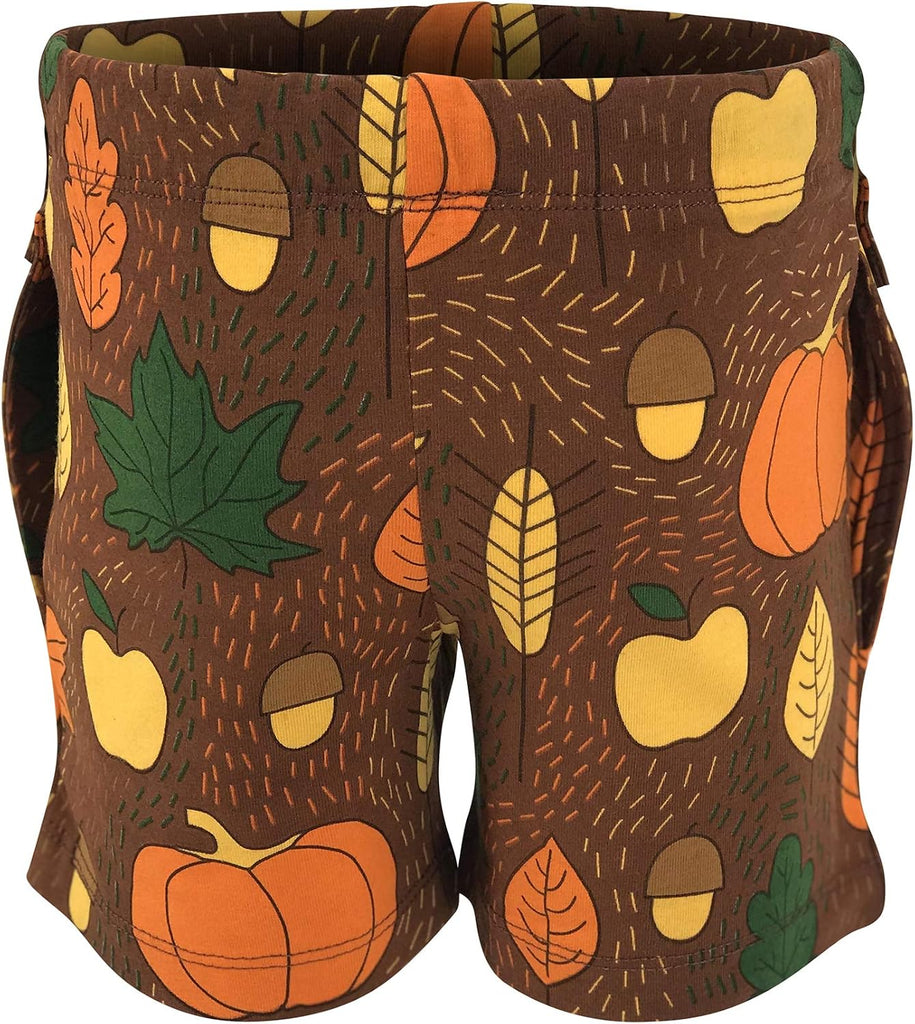 Boys 2pc Shorts Set Outfit Short Sleeve Shirt with Graphic Applique Print and Shorts