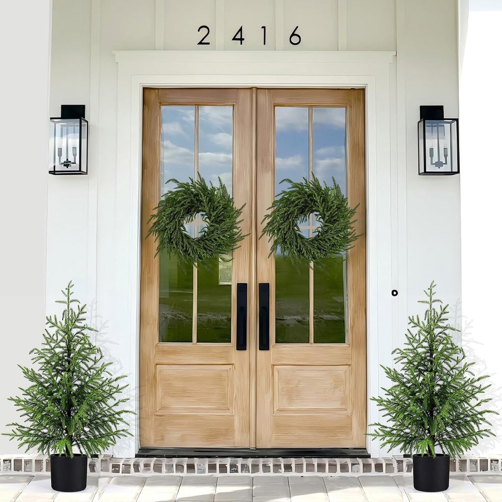 3FT Small Norfolk Pine Christmas Trees, 2-Pack Potted, Unlit