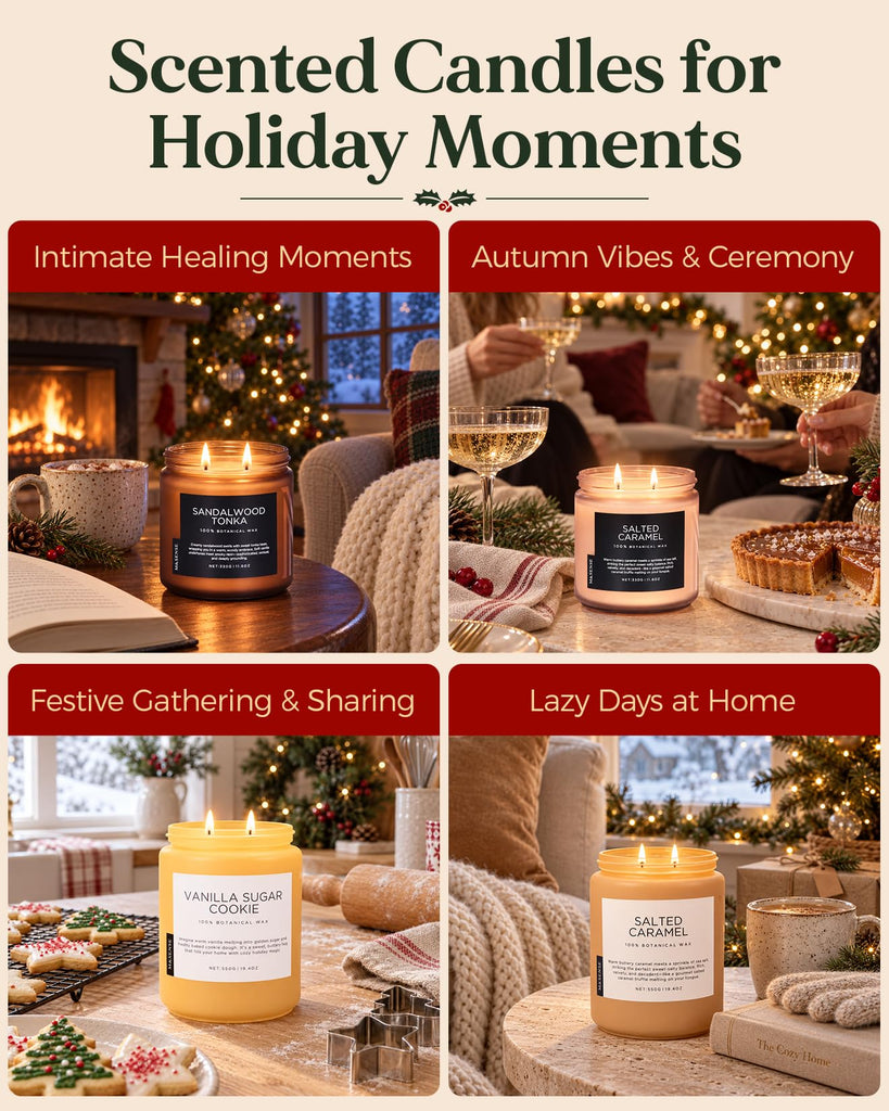 Frosted Balsam Cedar Scented Candle Christmas Tree Aroma 11.6oz 70h